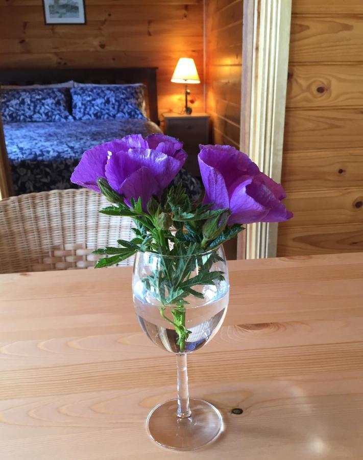 Molly'S Chase Bed and Breakfast Emu Flat Buitenkant foto